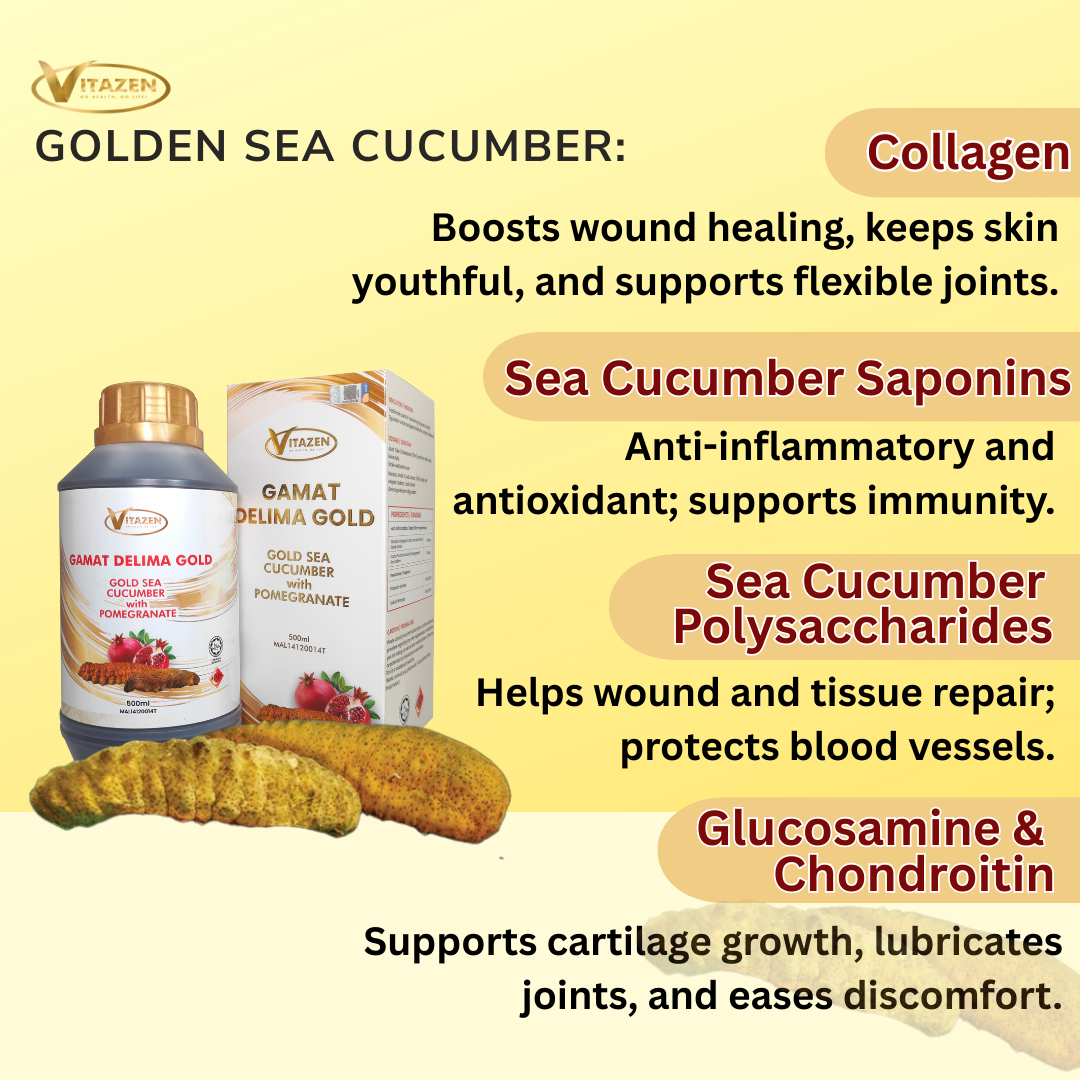 GOLD SEA CUCUMBER POMEGRANATE ESSENCE (500ml) - Image 5